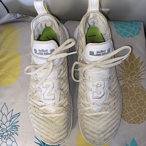 Nike Lebron Soldier 16 Basketball Shoe